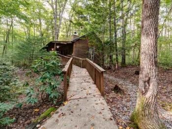 A cabin in the woods with a walkway.