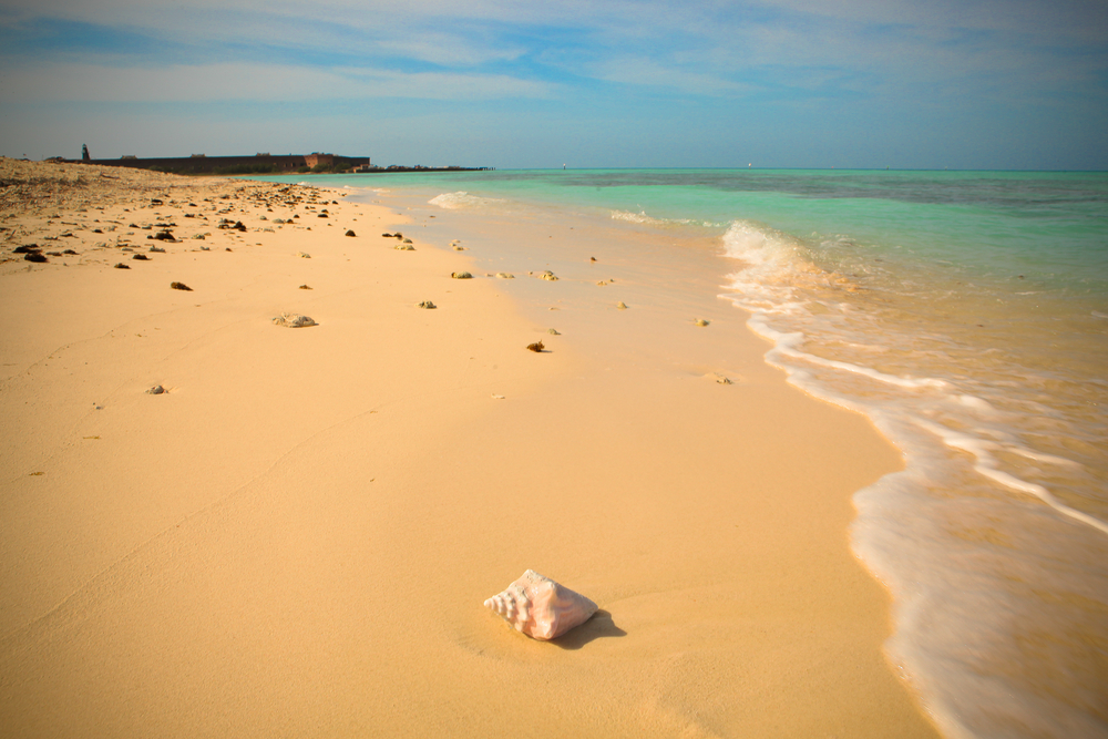 seashell on beach with blue water and fort in the background