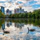 the lake a piedmont park in Atlanta with ducks