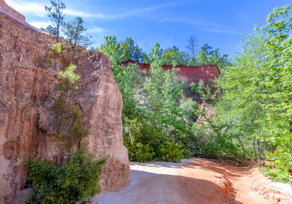 hiking trail in Providence Canyon State Park.