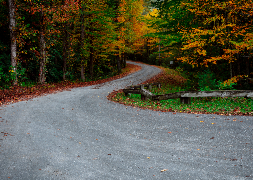 A photo of a winding road surrounded by trees whose leaves are turning  orange and yellow in the fall.