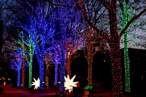 12 Festive Places To Celebrate Christmas In Georgia, USA - Southern ...