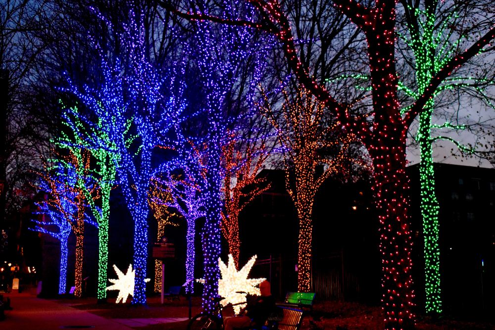 A picture of trees that are decorated in many different color Christmas lights along with bright white star decorations along a sidewalk during Christmas in Georgia.
