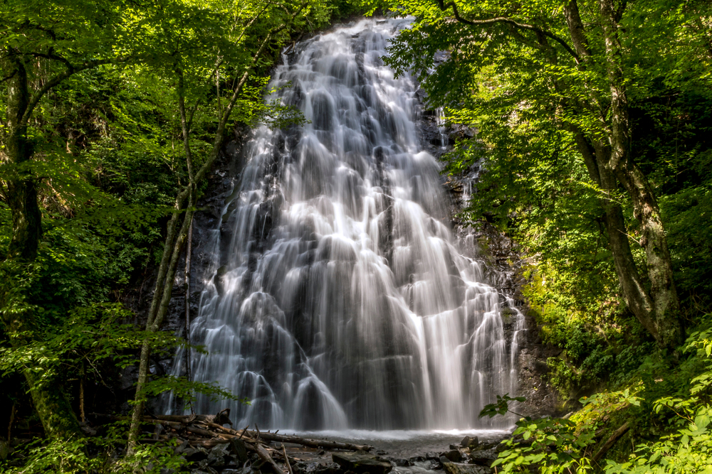 Massive Crabtree Falls in a green forest.