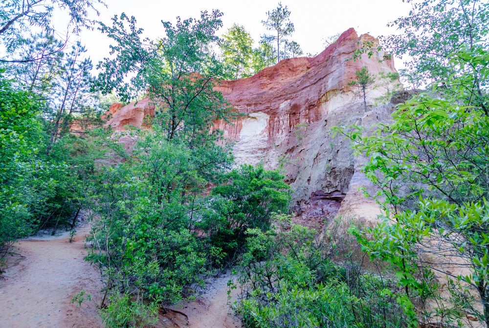 a creek bed, trees and red clay rocks in Georgia.