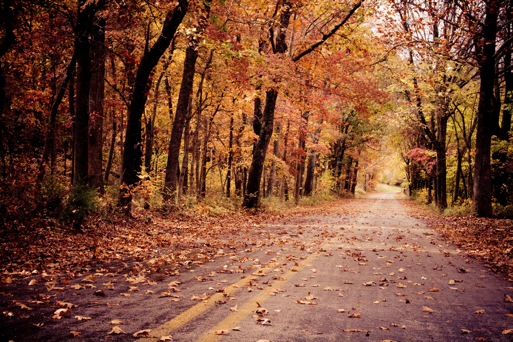 12 Best Places to Experience Fall In Arkansas Southern Trippers