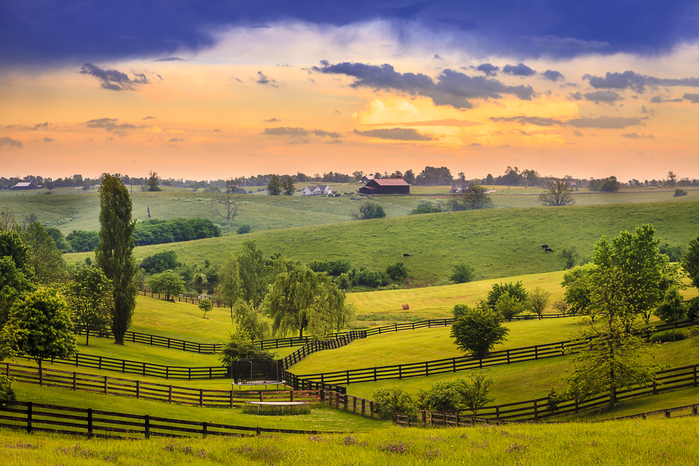 View of Kentucky farmland at dawn.