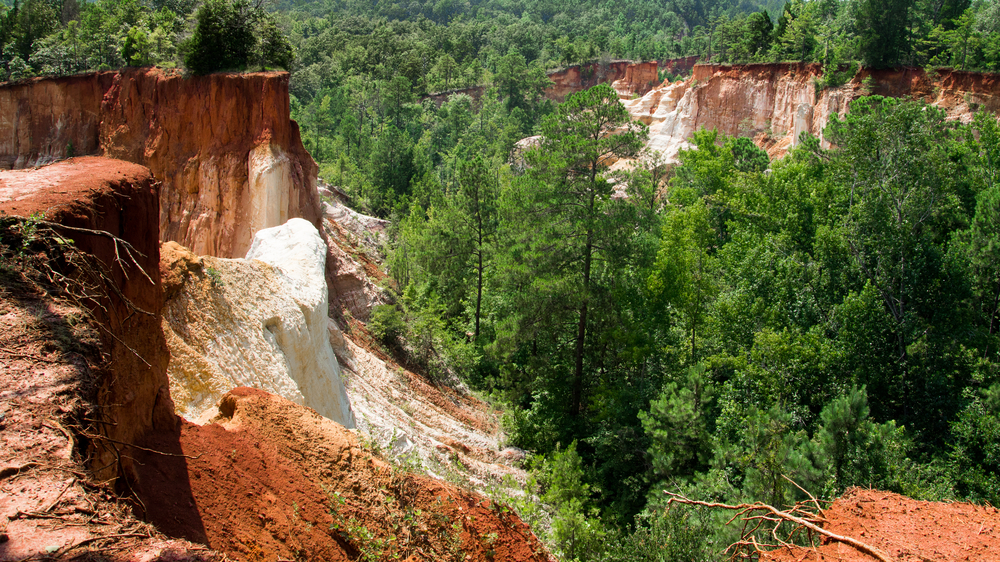 green trees and red clay in Providence Canyon from the overlook site.