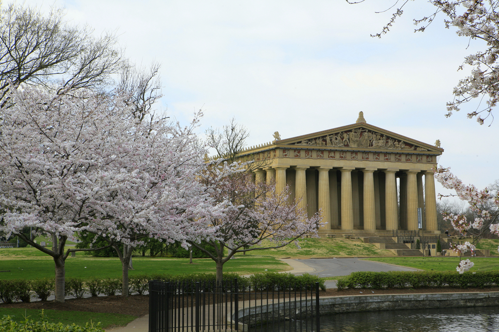 A photo of the Parthenon replica in Nashville, Tennessee, behind trees whose white flowers are in bloom.