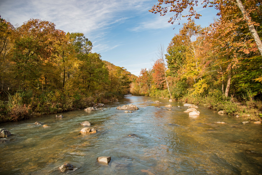 A picture of a river running through the Ouachita National Forest with autumn colored trees on either end of the river.