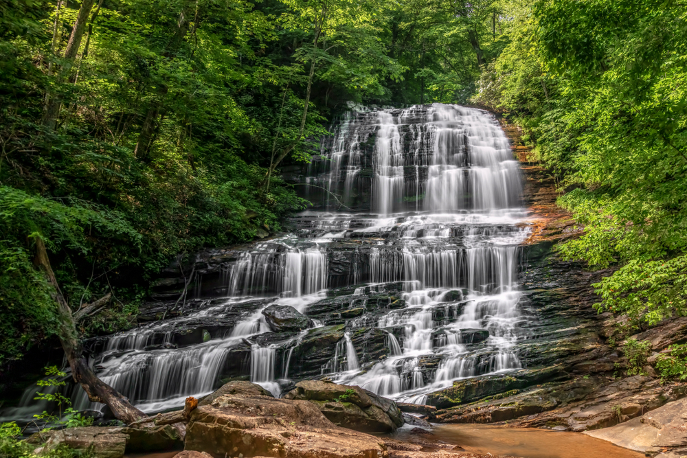 Pearson's Falls flowing down a rocky area between trees.