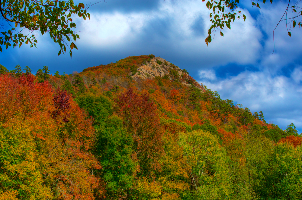 A picture of Pinnacle Mountain covered in trees that have the colors of fall dusted on their leaves