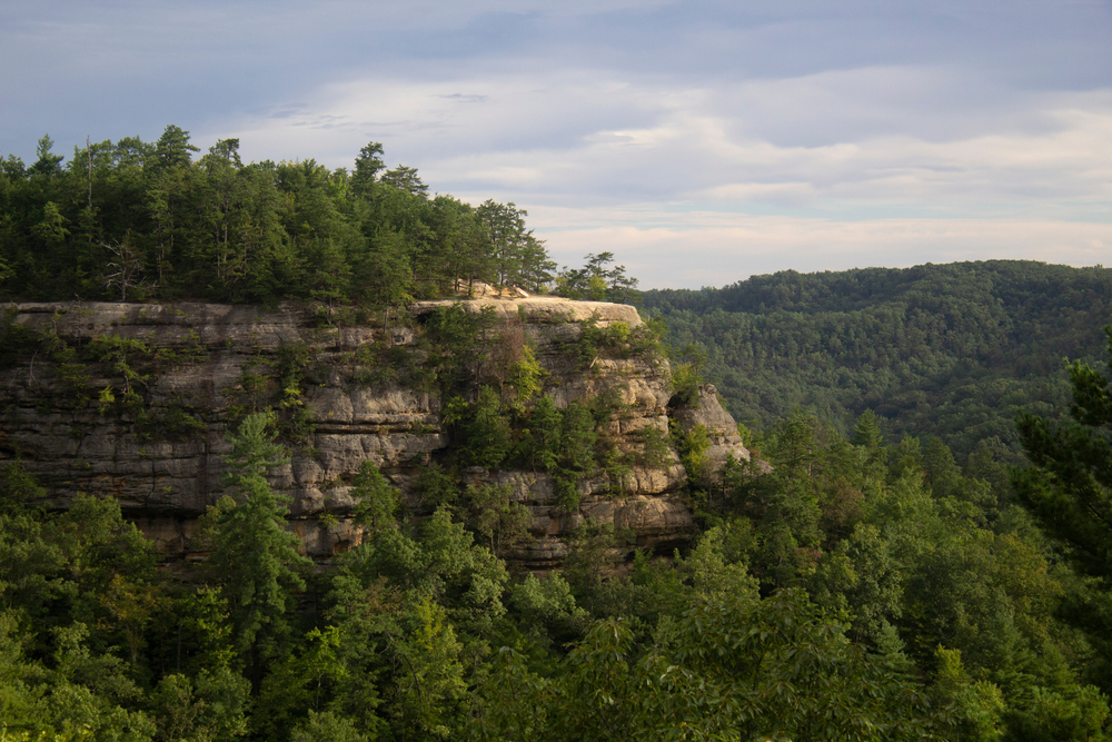Afternoon view of cliffs at Red River Gorge, one of the best things to do in Kentucky.