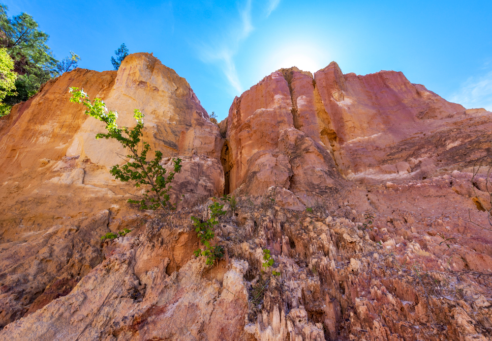 red clay wall in georgia with small green trees