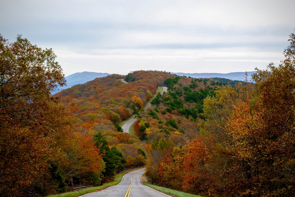 A photo of  the hilly and winding road of the Talimena National Scenic Byway  surrounded by orange, red, yellow, and green trees during fall.