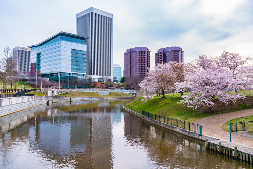 Photo of the canal walk in downtown Richmond with the skyline in the background and cherry blossom trees blooming.