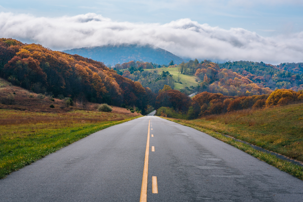 fall foliage on a virginia road