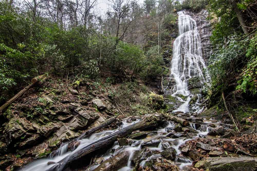 Mingo Falls flowing down among rocks and logs.