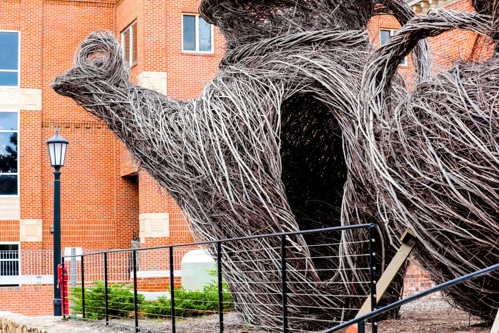 Wood sculptures outside of the Ackland Art Museum.