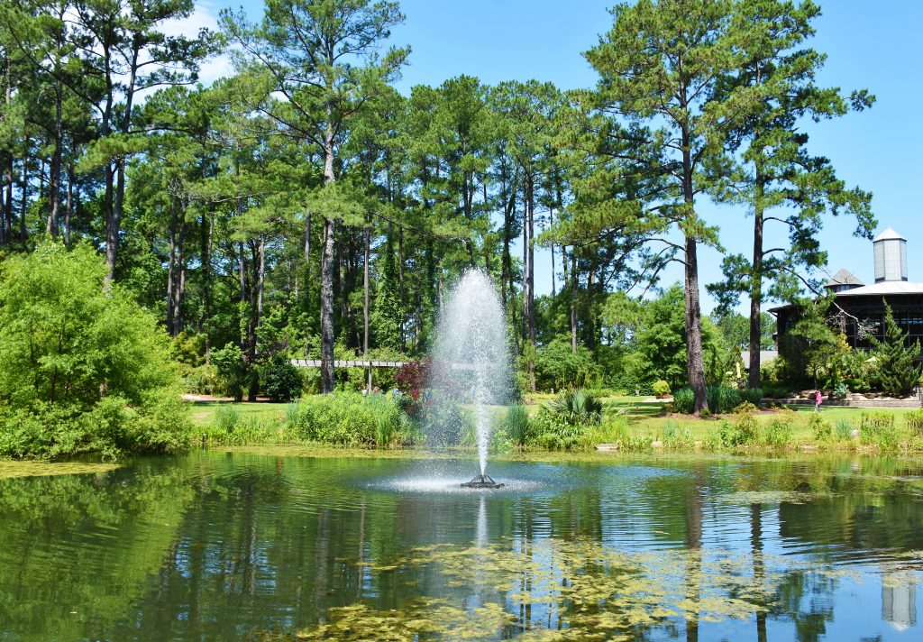 A fountain shoots water in a pond at the Cape Fear Botanical Garden