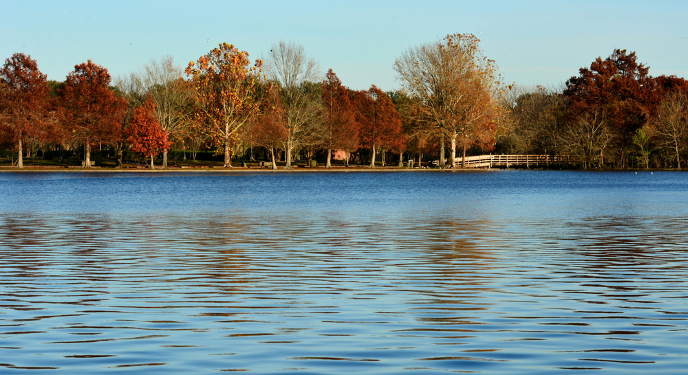 A beautiful view across a lake with fall colours