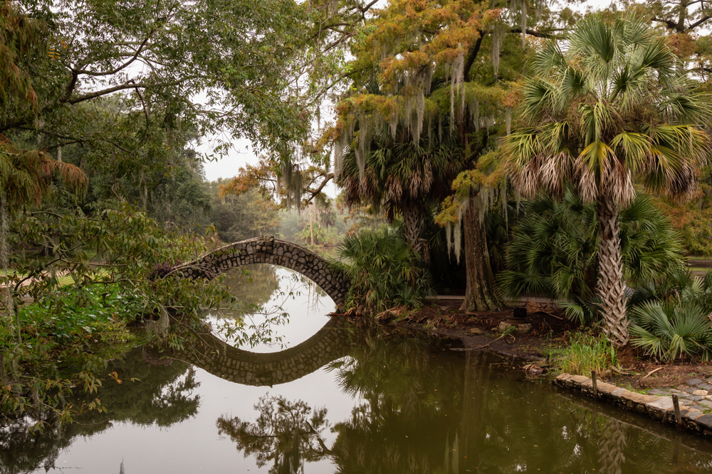 A beautiful park in fall in Louisiana