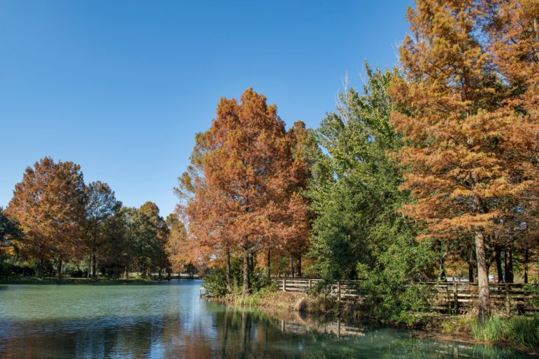 10 Best Places For Fall In Louisiana Southern Trippers