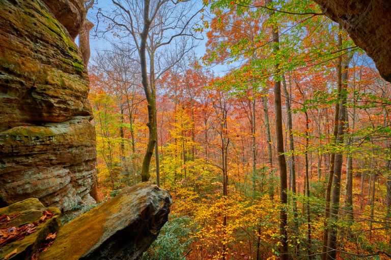 14 Best Places To Experience Fall In Kentucky Southern Trippers