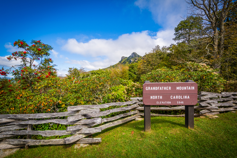 The view of Grandfather Mountain from the Grandfather Mountain overlook on the Blue Ridge Parkway. There is a wooden fence on the side of the hill and tall grasses and shrubs behind it. The shrubs have orange and red flowers. You can see the mountain behind them. There is a sign that says 'Grandfather Mountain, North Carolina, Elevation 5,946'