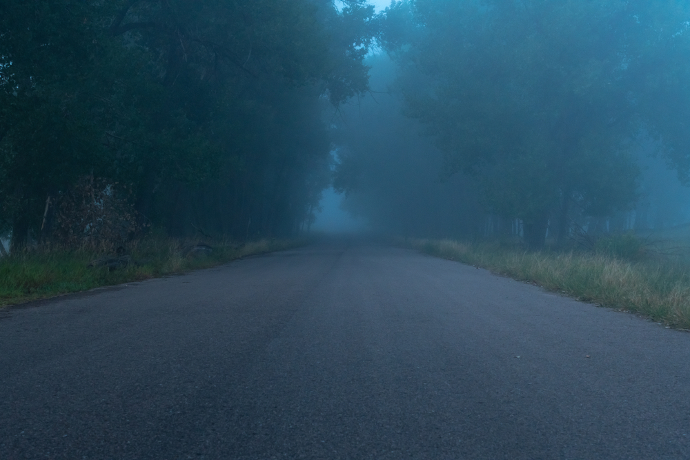 Elbow road has many terrifying stories that make it one of the most haunted places in virginia