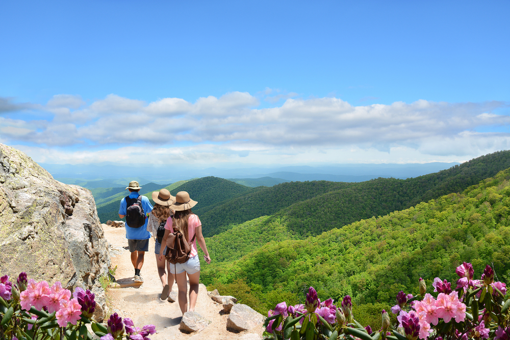 Three people, a man and two women, walking on a trail on the side of a mountain. They are all wearing wide brimmed hats and backpacks. You can see pink and purple flowers and the mountains covered in green trees.