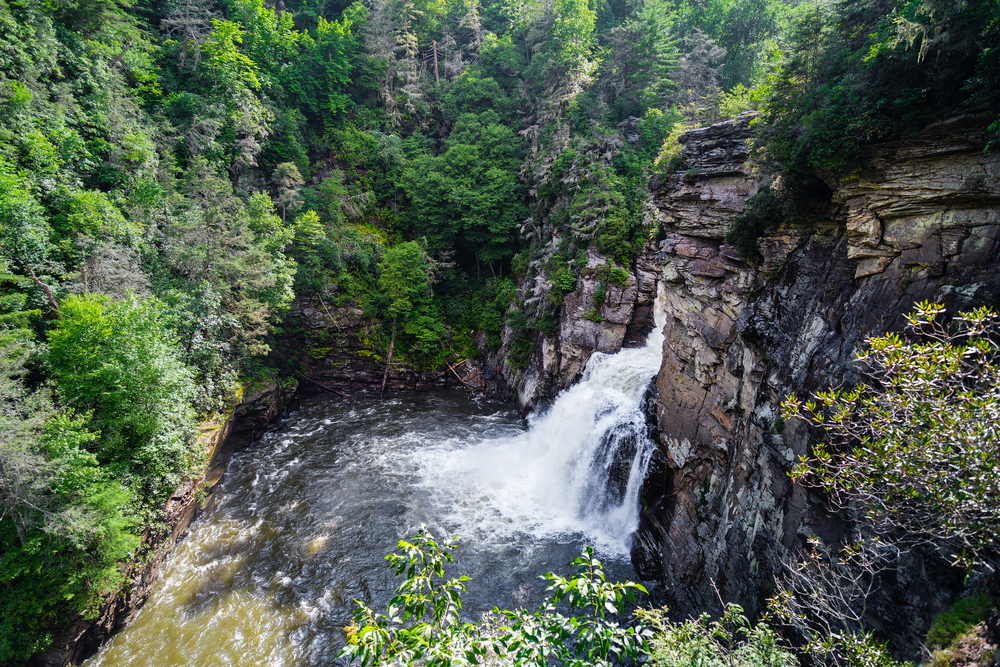 A large waterfall coming out of the side of a rocky cliffside. The water falls into a large pool before flowing into a river. The area is surrounded by green trees and rocky cliffs.