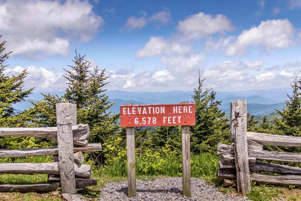 A sign post on the side of a mountain that reads 'Elevation Here: 6,578 Feet'. It is a red sign with white letters. Next to it is a wooden fence and behind it you can see trees, tall grass, and the mountains in the distance. 