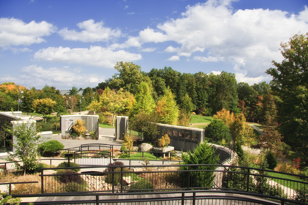 Looking out at the North Carolina Arboretum from a viewing deck. You can see a winding path with walls and a black iron fence in some spots. There are a lot of trees, plants, and green spaces around the path.