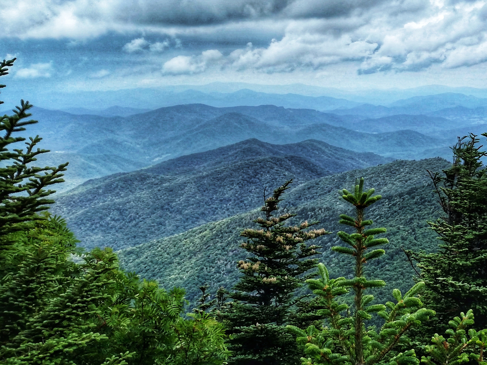 The view of Pisgah National Forest from a lookout on the Blue Ridge Parkway. The mountains look blue and the sky is cloudy. You can see large green evergreen trees and the mountains are covered in trees. 