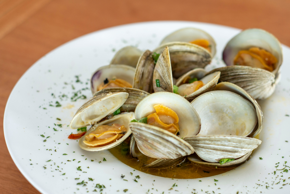 A white plate of little neck clams with chives and broth