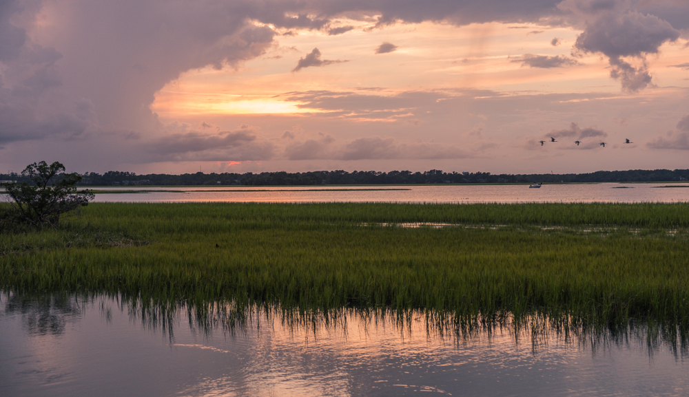 Sunset over Pinckney Island National Wildlife Refuge with birds flying.