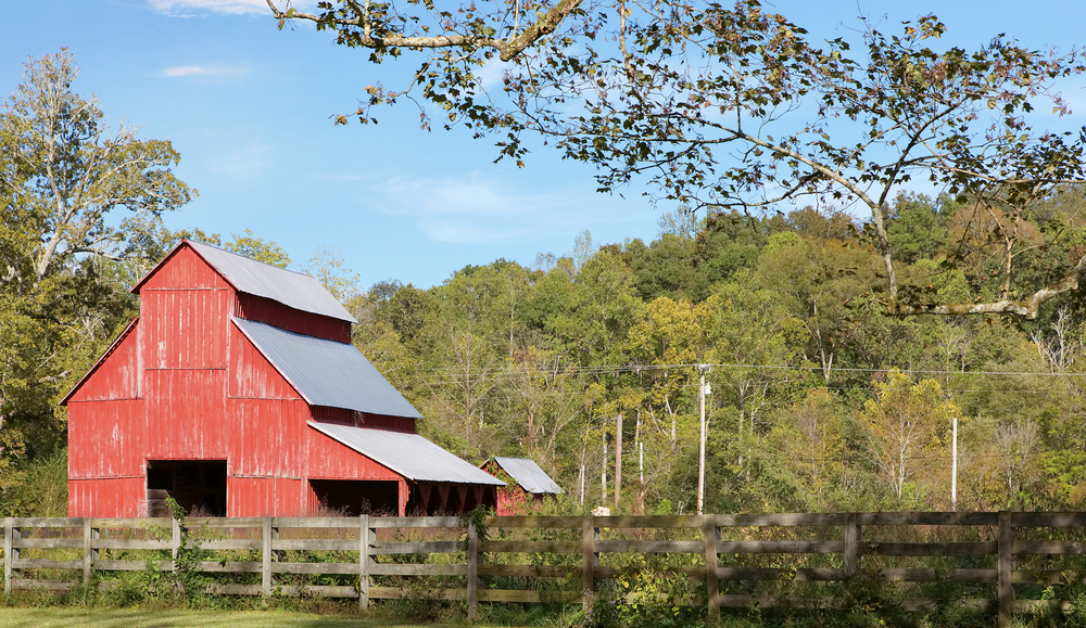 A large red barn in a field surrounded by trees. The trees have green and yellow leaves. There is a wooden fence in front of the barn.