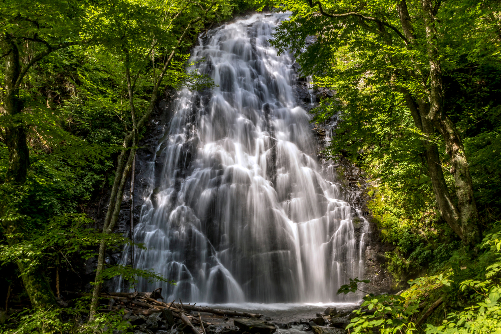A large cascading waterfall down the side of a cliff. It is surrounded by a dense forest with trees covered in green leaves. The waterfall feeds into a pool of water that flows off camera.