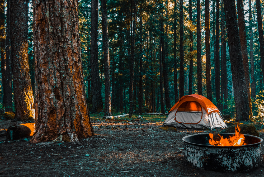 A photo of an orange and white tent in the woods with a campfire lit at Shenandoah National Park.