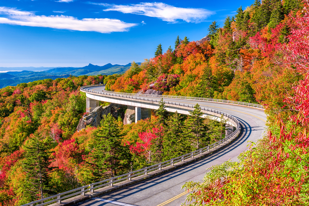 Photo of the Linn cove Viaduct Bridge curving around Grandfather Mountain, surrounded by fall-colored trees and mountains in the distance.