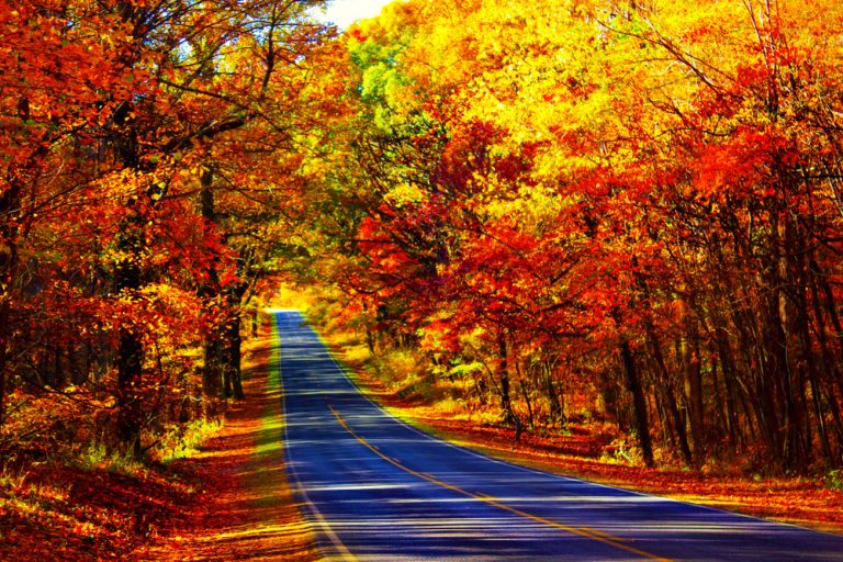 Southern Fall Day 16 Places To See Fall Foliage In The South USA - Southern Trippers