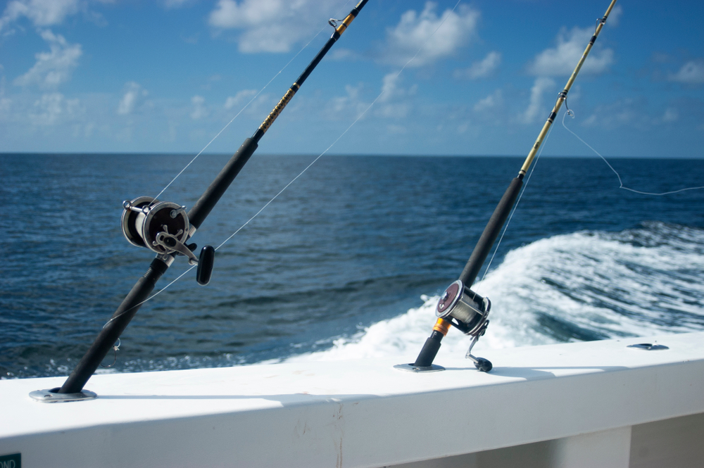 If you love fishing, then book a fishing charter in Orange Beach, Alabama.