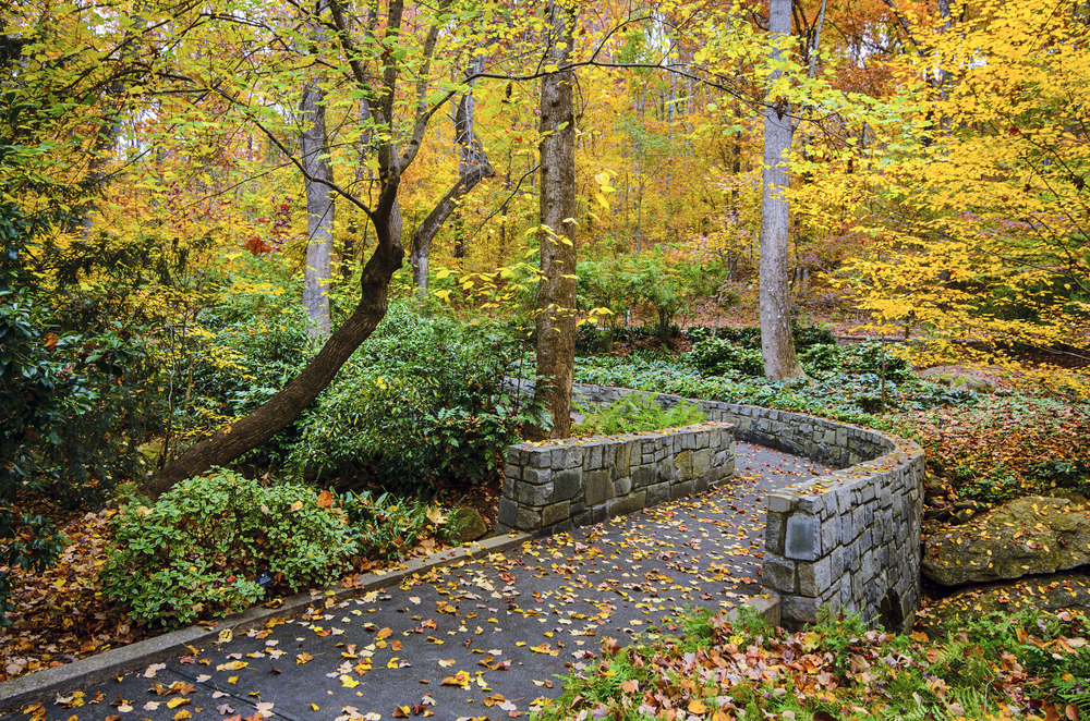 Autumn trail at the State Botanical Gardens of Georgia.