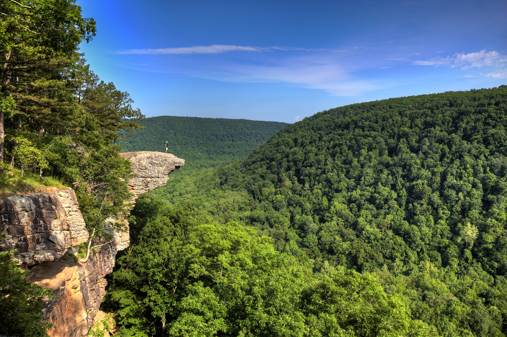 A picture of a hiker standing on the protruding Hawksbill Crag that overlooks the green forested hills.