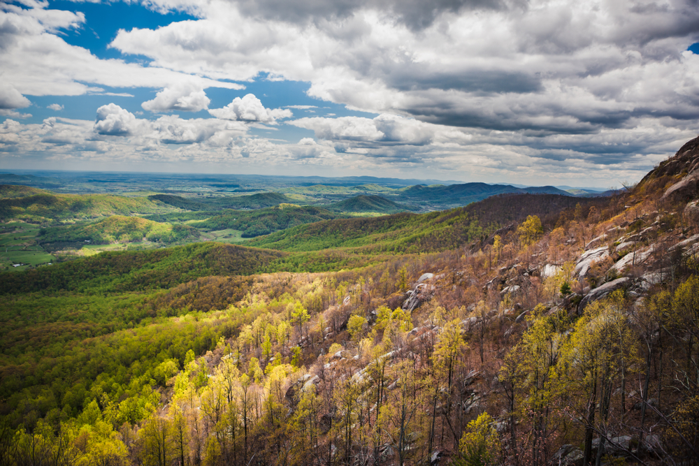 A picture of green valleys and forest covering the hills and mountains on a cloudy day as seen from Old Rag Mountain in Shenandoah National Park.