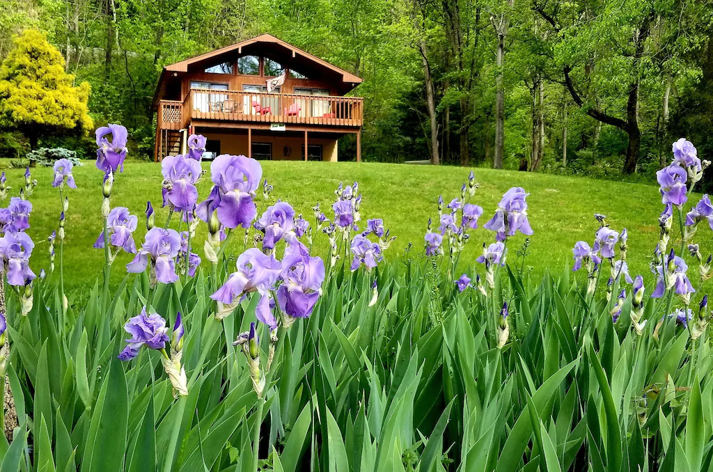 A photo of riverfront cottage among the green trees and purple wildflowers.