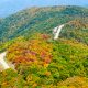 A picture of a road on the rolling hills of Shenandoah National Park in the fall.