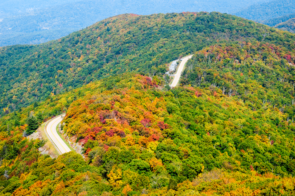 A picture of a road on the rolling hills of Shenandoah National Park in the fall.