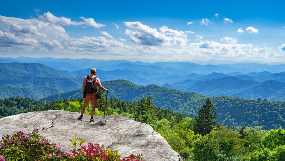 A person standing on a rocky outcropping on the side of a mountain. They are looking out at the Blue Ridge Mountains. You can see mountains covered in green trees and near the rock you can see pink flowers. The sky is bright blue and there are some clouds. It is one of the best Asheville hiking trails. 